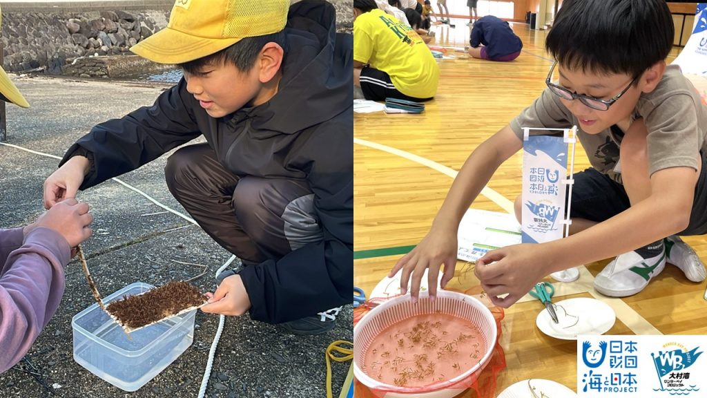 <a href="https://prtimes.jp/main/html/rd/p/000003277.000077920.html" target="_blank" rel="noopener">【イベントレポート】「私の海藻、大きくなあれ！」小学校内で海藻を養殖【海藻School2024】を開催しました！</a>