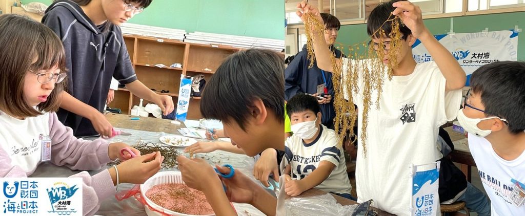 <a href="https://prtimes.jp/main/html/rd/p/000000518.000161057.html" rel="noopener">【イベントレポート】「私の海藻、大きくなあれ！」　小学校内で海藻を養殖【海藻School2025】を開催しました！</a>