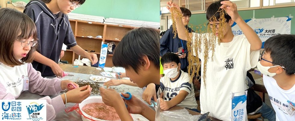 <a href="https://prtimes.jp/main/html/rd/p/000000518.000161057.html" rel="noopener">【イベントレポート】「私の海藻、大きくなあれ！」　小学校内で海藻を養殖【海藻School2025】を開催しました！</a>